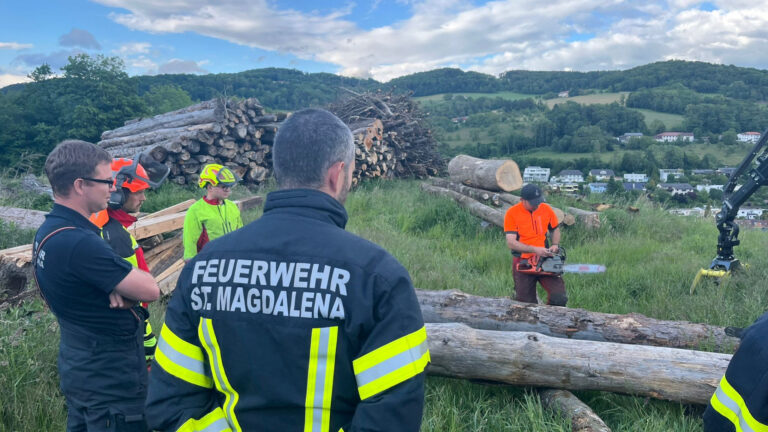 Übung Motorkettensägen