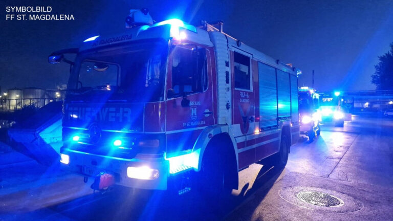 Brandverdacht bei Wald